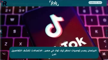 البرلمان يصدر توصيات لحظر تيك توك في مصر.. الاتصالات تكشف التفاصيل الآن